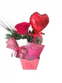 Box com 1 Rosa + 1 Tablete Cart�o + 1 Bal�o
