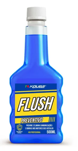 MOTOR FLUSH PREVENTIVO