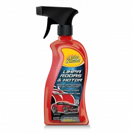 LIMPA RODAS & MOTOR - 500ML