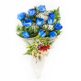 Buque Blue Sky com 12