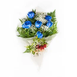 Buque Blue Sky com 6