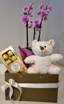 Caixa presente mini orqudea pelcia e chocolate