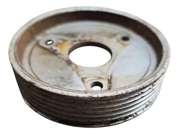 Polia Bomba Agua Renault Megane Scenic 1999 A 2012