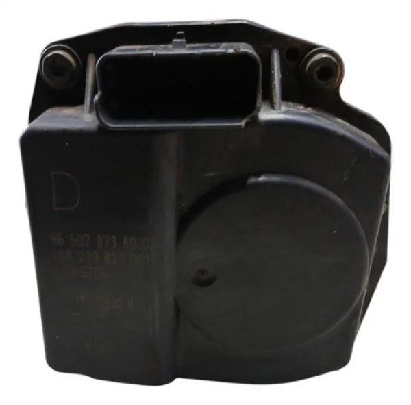 Tbi Corpo Borboleta 2.0 Citroen Peugeot C4 307 2010 A 2010