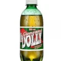 DOLINHO GUARANA 350
