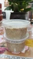 Tempero Caseiro com Pimenta 300gr