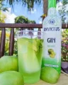 GIN INVICTUS MACA VERDE GARRAFA