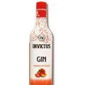 GIN INVICTUS MORANGO/PESSEGO GARRAFA