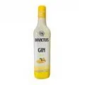 GIN INVICTUS TROPICAL GARRAFA