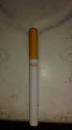 CIGARRO SOLTO EIGHT