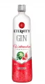 GIN ETERNITY MELANCIA GARRAFA
