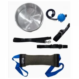 Kit Filhote