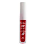 Lip Tint Dailus Frozen De Melancia Lip Tint Dailus Frozen De Melancia