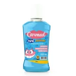 Enxaguante Bucal Carmed Fini Dentadura 250Ml