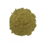 MORINGA OLIFERA - 100g