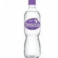 �gua Mineral Sem G�s Frescca 510ml