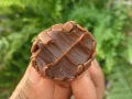 Brigadeiro Brigadeiro