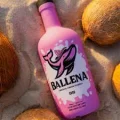 Dose ballena Coco