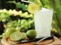 Suco De Lim�o  Natural  Da Fruta 1 Lt