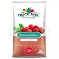 Polpa Fruta Doce Mel Acerola 1kg Polpa Fruta Doce Mel Acerola 1kg