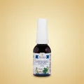 Mel com Própolis e Menta Spray 30ml Mel com Própolis e Menta Spray 30ml