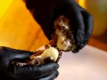 Kibe de Queijo Kibe de Queijo
