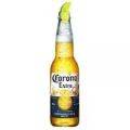 Corona long neck