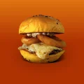 Onion Burguer