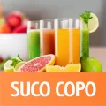 SUCOS 500 ML