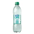 H2O