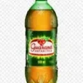 Guaran� Antarctica 600 Ml