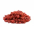 GOJI BERRY