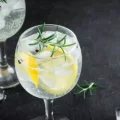 Gin T�nica