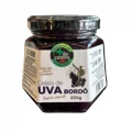 123 - Geleia de Uva Bordo 250g