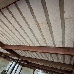 Contribuies Diretas para a Descarbonizao