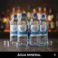 �GUA MINERAL