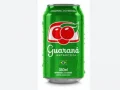 Guaran� Ant�rctica