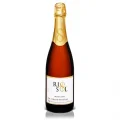 Espumante Rio Sol Moscatel 750ml