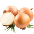 Cebola Gra�da