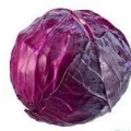 Repolho Roxo