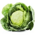 Repolho Verde