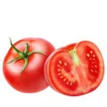 Tomate Comum