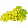 Uva Itália