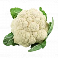 Couve Flor