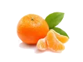 Morgote