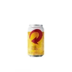 CERVEJA SKOL 350ML LATA