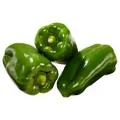 Piment�o Verde