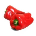 Piment�o Vermelho
