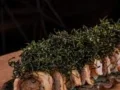 10 Uramaki Especial Do Chefe Couve