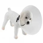 Colar Elizabetano Confortpet Parac�es Tamanho 6